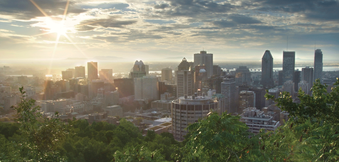 Fiber Hut 0519 1402x672