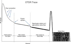 Amazing_Fig1_072019 Amazing_Fig1_072019