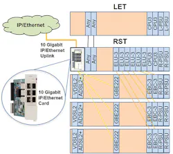 Forget_Fig1_082019 Forget_Fig1_082019