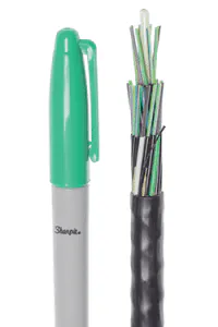 Micron Fig1 102019 200x300 Micron Fig1 102019 200x300