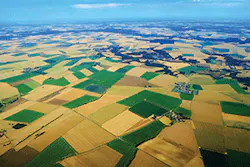 Rethinking Fig1 112019 300x200 Rethinking Fig1 112019 300x200