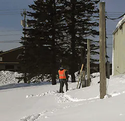 Apples Fig1 0520 300x289 Apples Fig1 0520 300x289