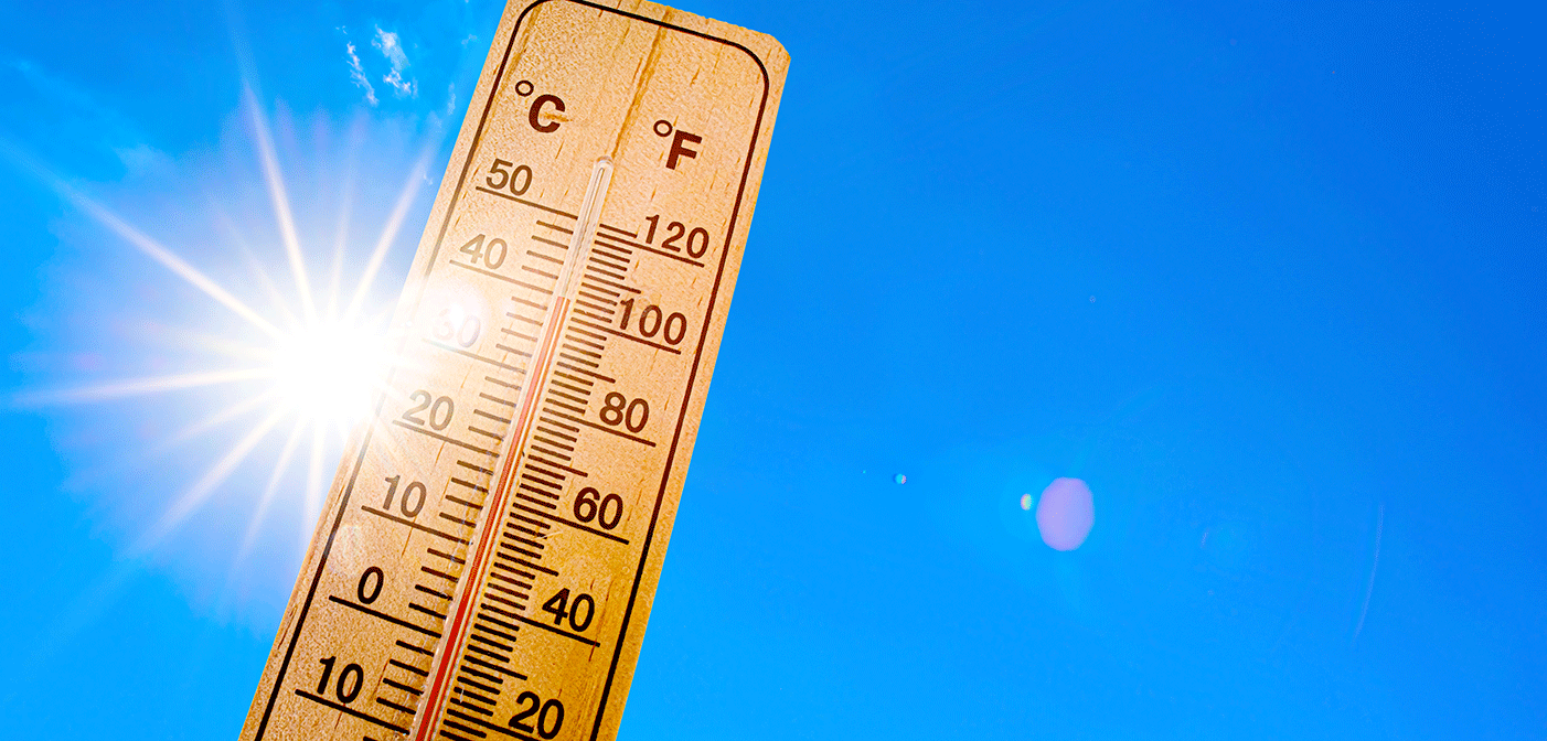 Environmental 1220 1402x672