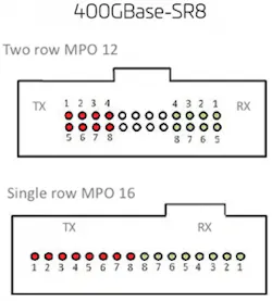 100 G Fig4 0621 271x300 100 G Fig4 0621 271x300