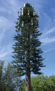 Covert Fig1 0921 180x300 Covert Fig1 0921 180x300