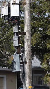 Covert Fig2 0921 171x300 Covert Fig2 0921 171x300