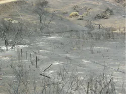 All that remains of two aerial cable plants. All that remains of two aerial cable plants.
