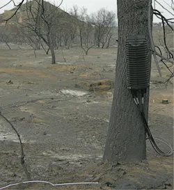 Some fiber survived. Here is a temporary fix. Some fiber survived. Here is a temporary fix.