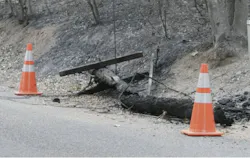 A wooden utility pole after a wildfire. A wooden utility pole after a wildfire.
