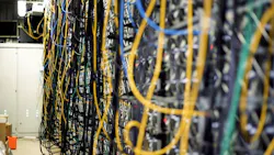 65e62f4e549e7b001ee98427 Dreamstime S 168075770 65e62f4e549e7b001ee98427 Dreamstime S 168075770