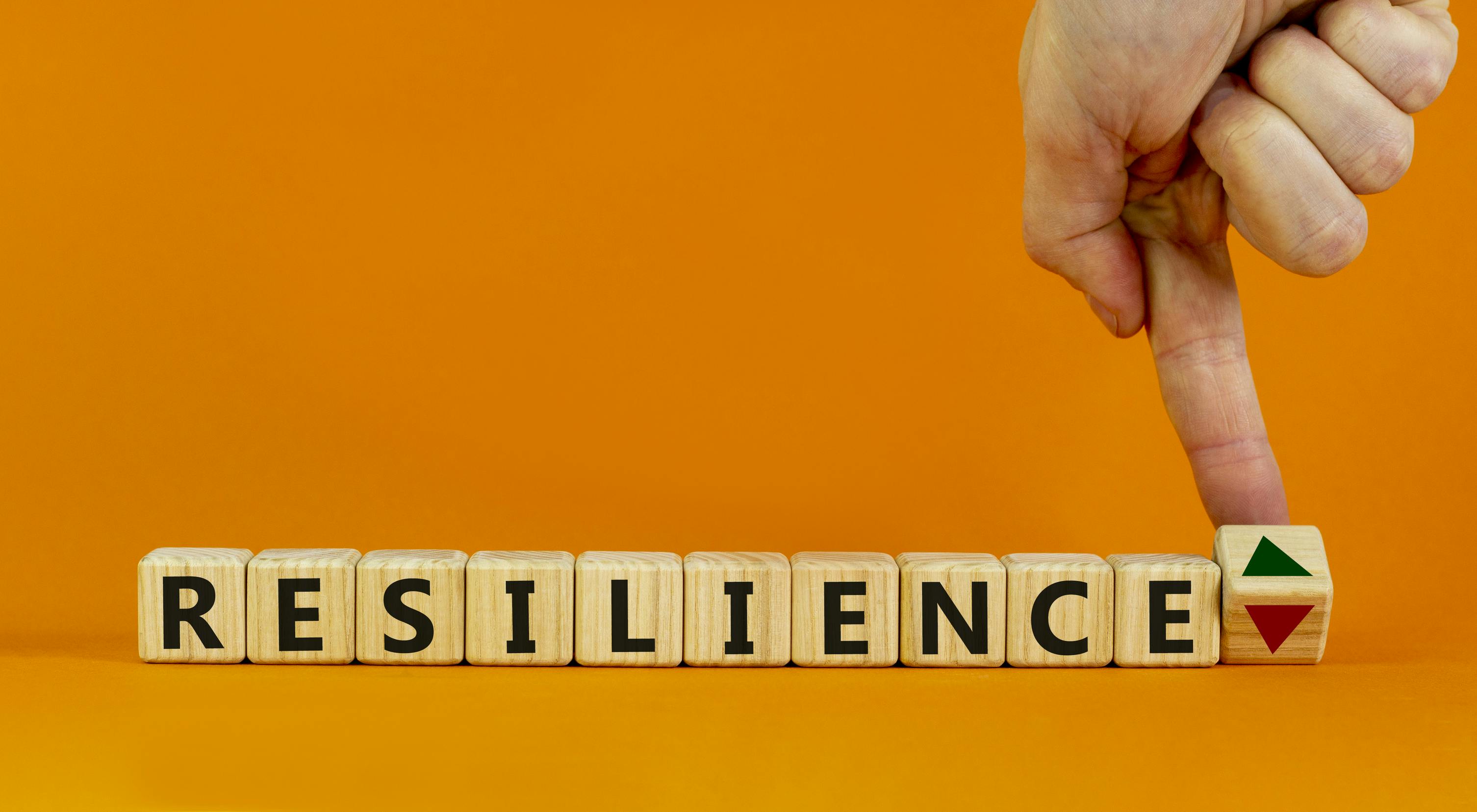 Resilience in Action: How to Prepare Your Network for Any Disruption