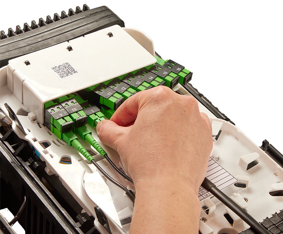 68fba947d25619f994a6941bgofoton_mmt_series