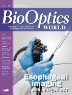 Volume 6, Issue 3 cover image