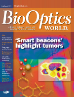 Volume 6, Issue 4 cover image