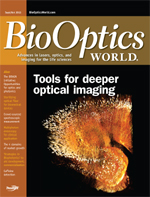 Volume 6, Issue 5 cover image