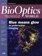 Volume 6, Issue 6 cover image