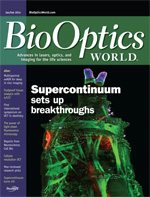 Volume 7, Issue 1 cover image