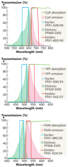 FIGURE 1: Absorption (green shaded area) and emission (pink shaded area) spectra of the three fluorophores used in the research describe fluorescence image-guided tumors and surrounding tissue. The spectra of optimal corresponding filters (green line) can be used in a FIGS microscope. Hard-coated interference filters having high (>95%) light transmission passbands and steep edges enable the collection and display of fluorescence microscopy images with high signal-to-noise ratios (for example, high image fidelity). So, high-quality optical filters are critical for removing small pieces of tumor that may otherwise go undetected.