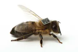 1110ilsupdatef1 1110ilsupdatef1