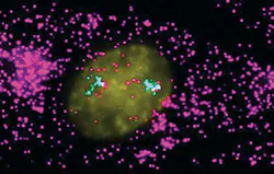 1111bownews Fig2 1111bownews Fig2