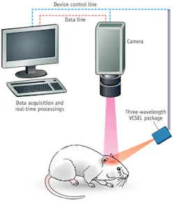 1209bowlevif2 1209bowlevif2