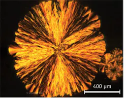 1211bowendf2 1211bowendf2