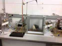 1403bowbreak Fig3 1403bowbreak Fig3