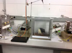 1403bowbreak Fig3 1403bowbreak Fig3