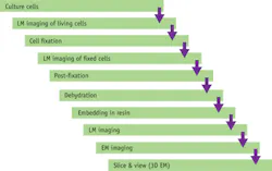 1405bowwepff1 1405bowwepff1