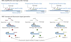 The first at-home, noninvasive test for colorectal cancer, by Exact Sciences, analyzes DNA and biomarkers using fluorescence. The first at-home, noninvasive test for colorectal cancer, by Exact Sciences, analyzes DNA and biomarkers using fluorescence.