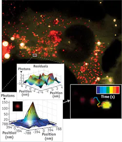 FIGURE 2. This live human U2OS osteosarcoma cell shows dual-color, super-resolved, single-particle tracking. A red fluorescence-labeled microRNA can be tracked in a live cell (right-hand inset) by fitting time-lapsed images of its point-spread function with two-dimensional Gaussian distributions with low residuals (left-hand inset), determining the particle's location over time with super accuracy as it approaches a processing body (green). FIGURE 2. This live human U2OS osteosarcoma cell shows dual-color, super-resolved, single-particle tracking. A red fluorescence-labeled microRNA can be tracked in a live cell (right-hand inset) by fitting time-lapsed images of its point-spread function with two-dimensional Gaussian distributions with low residuals (left-hand inset), determining the particle's location over time with super accuracy as it approaches a processing body (green).
