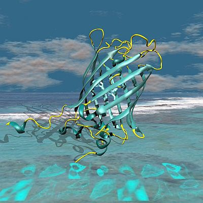 Content Dam Bow Online Articles 2012 03 Bow Mturquoise2 Fig1 Web