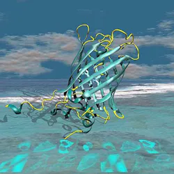 Content Dam Bow Online Articles 2012 03 Bow Mturquoise2 Fig1 Web Content Dam Bow Online Articles 2012 03 Bow Mturquoise2 Fig1 Web