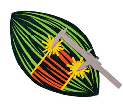 Content Dam Bow Online Articles 2012 04 Mitoticspindle2 Content Dam Bow Online Articles 2012 04 Mitoticspindle2