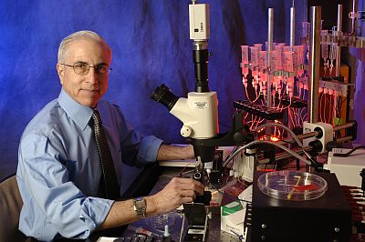 Content Dam Bow Online Articles 2012 11 Pepperberg Web