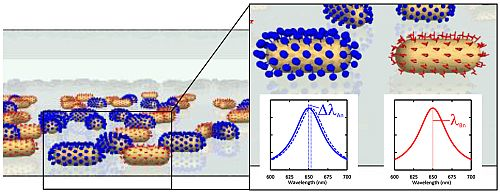 When proteins dock with the specifically functionalized nanoparticles, the sensor elements change color.