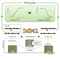 Content Dam Bow Online Articles 2013 08 Eprobe Content Dam Bow Online Articles 2013 08 Eprobe