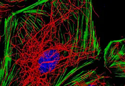 Content Dam Bow Online Articles 2013 08 Newseventsimages Web Content Dam Bow Online Articles 2013 08 Newseventsimages Web