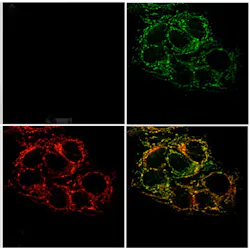 Content Dam Bow Online Articles 2013 12 20131209141355 0 Content Dam Bow Online Articles 2013 12 20131209141355 0
