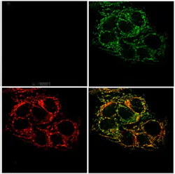 Content Dam Bow Online Articles 2013 12 20131209141355 0 Content Dam Bow Online Articles 2013 12 20131209141355 0