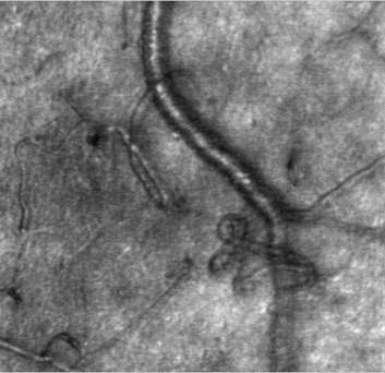 Content Dam Bow Online Articles 2014 04 376376 Actual