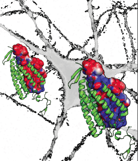 Content Dam Bow Online Articles 2014 04 Deisseroth