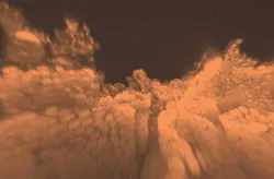 Content Dam Bow Online Articles 2014 08 Intestine Content Dam Bow Online Articles 2014 08 Intestine