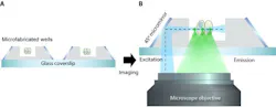 Schematic showing the soSPIM technique: Cells can be grown in the microfabricated wells, holding them in place for imaging (a), and the 45° micromirrors reflect the excitation beam (dotted line) from a single objective, through the sample, and the resultant emitted fluorescence signal is captured by the same objective (b). Schematic showing the soSPIM technique: Cells can be grown in the microfabricated wells, holding them in place for imaging (a), and the 45° micromirrors reflect the excitation beam (dotted line) from a single objective, through the sample, and the resultant emitted fluorescence signal is captured by the same objective (b).