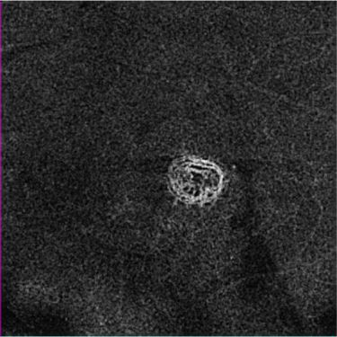 Content Dam Bow Online Articles 2015 September Wetamdwcnv 1 Web