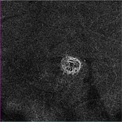 Content Dam Bow Online Articles 2015 September Wetamdwcnv 1 Web Content Dam Bow Online Articles 2015 September Wetamdwcnv 1 Web