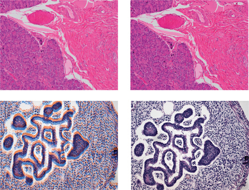 Content Dam Bow Print Articles 2014 11 1411bow 32
