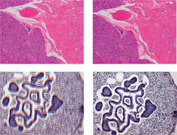 Content Dam Bow Print Articles 2014 11 1411bow 32 Content Dam Bow Print Articles 2014 11 1411bow 32