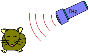 Content Dam Lfw Online Articles 2011 09 Mouse And Terahertz