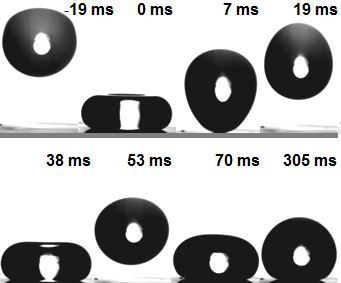 A drop of the low-viscosity oil hexadecane bounces up off the repellant surface before coming to rest on it as an almost perfect sphere.